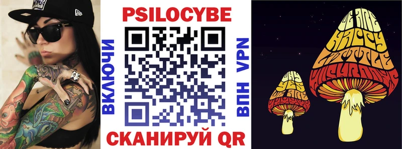 Галлюциногенные грибы Psilocybe  гидра ссылки  Галич 